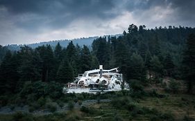 Tree Of Life Eila Art Hotel, Manali